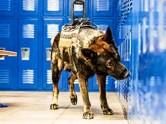 Some Agencies Fitting K-9s with Cameras