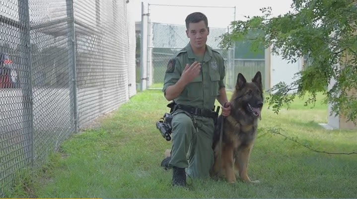 MD K-9 Handlers Carrying Narcan to Save Drug Dogs from Fentanyl Exposure
