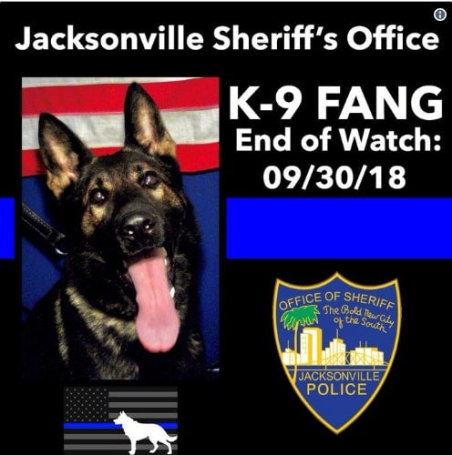 Teen Charged as Adult in Florida K-9′s Death