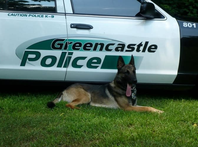 PA K-9 Struck by Vehicle and Killed