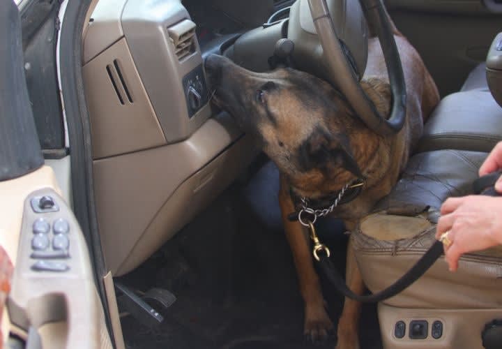 N.J. Law Makes It Illegal to Threaten Police Dogs