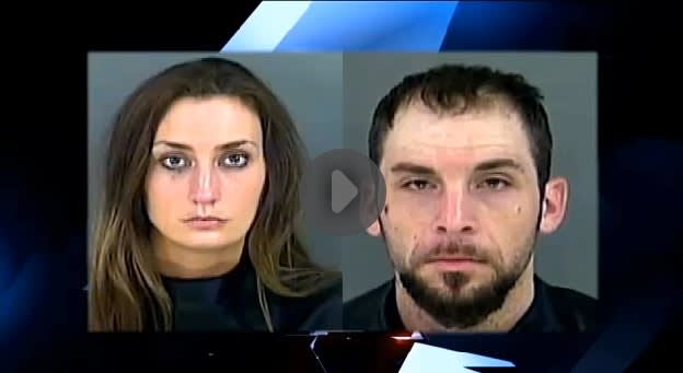 Video: South Carolina K-9 Attacked During Arrest Attempt