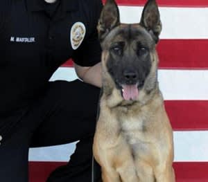 Calif. Officer's K-9 Attacks Son, Leg Amputated