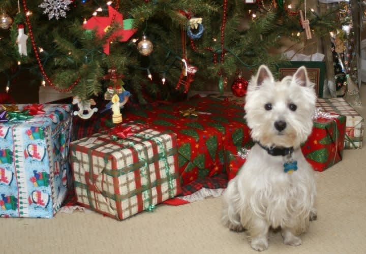 5 Gift Ideas for the Female Officer