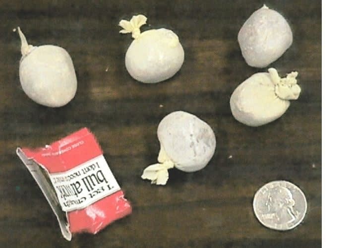 Gangs and Electronic Surveillance—Part I