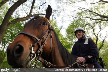 Foot and Hoof Patrol: Meaningfully Connecting Cops and Citizens