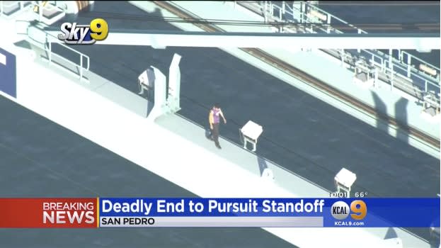 Video: Car Theft Suspect Dies in Jump, Fall from Los Angeles Port Crane