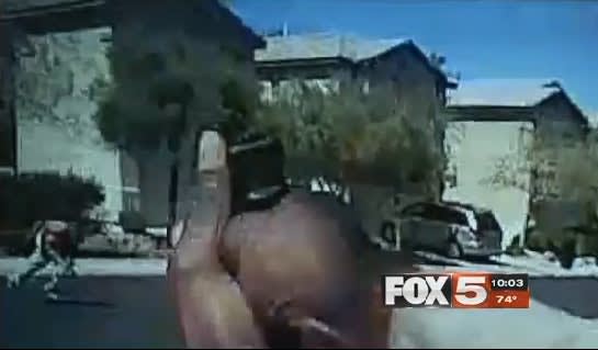 Video: Las Vegas K-9 Nicky was Killed by Friendly Fire During Gunfight