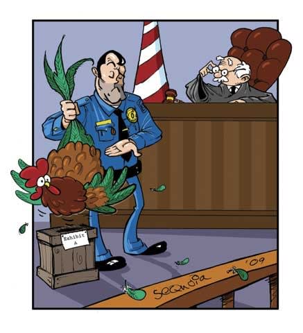 My Life as an Expert