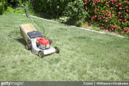 Ohio Police Respond to Call About 12-Year-Old Boy Mowing a Lawn