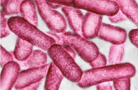 Legionnaires' Disease Bacteria Found in Water at Manhattan Police Station