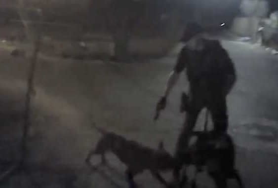 Owner's Claim That Arizona Deputy Unnecessarily Shot Her Dog Refuted by Video