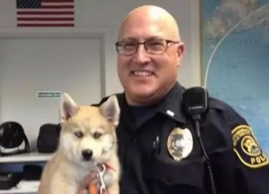 MI Officer Stabbed in Neck in Terror Attack at Airport