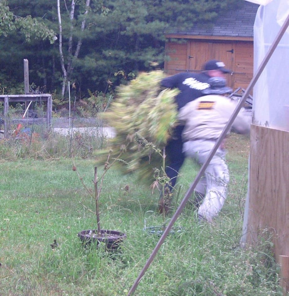 Police Impostors Rob Medical Marijuana Patient