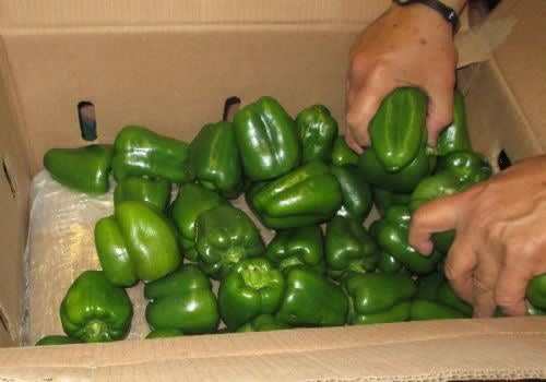 $1M Marijuana Load Hidden Under Bell Peppers