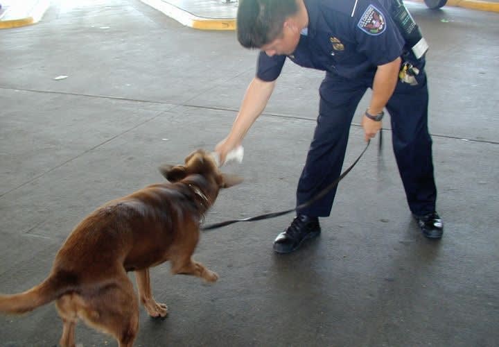 Cancer Treatments: Battling Cartels