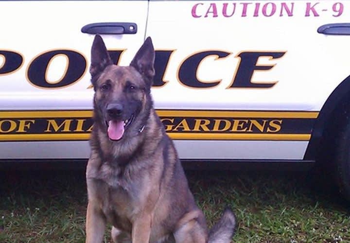 Fla. K-9 Killed at Burglary Call
