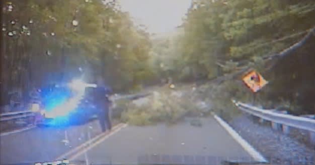 Video: New Jersey Officer Struck by Tree While Clearing Branch from Road