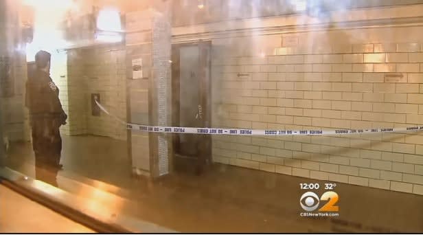 Video: Rookie NYPD Officer Shoots, Kills Unarmed Man in Brooklyn Project