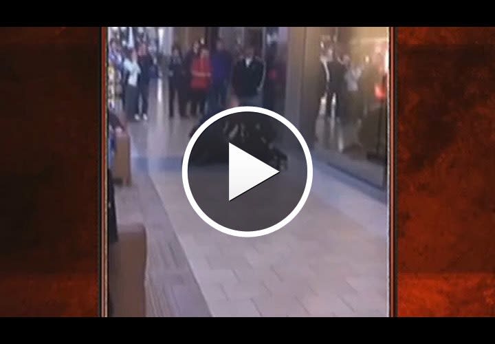 Video: Resisting Woman TASERed at Apple Store