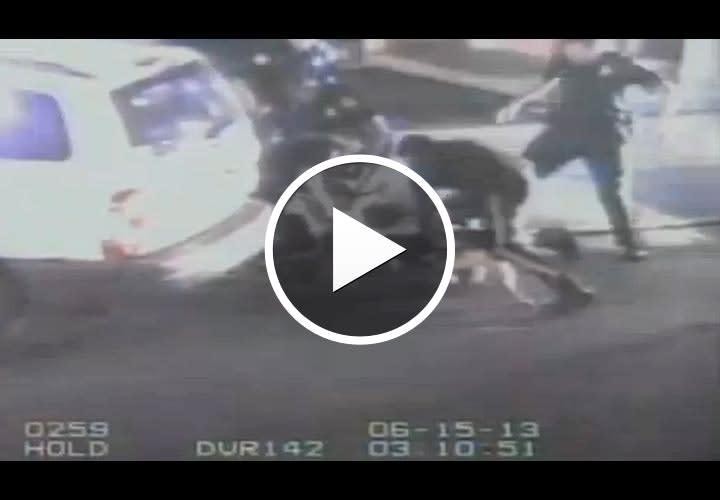 Video: N.J. Man Sues Over K-9 Arrest