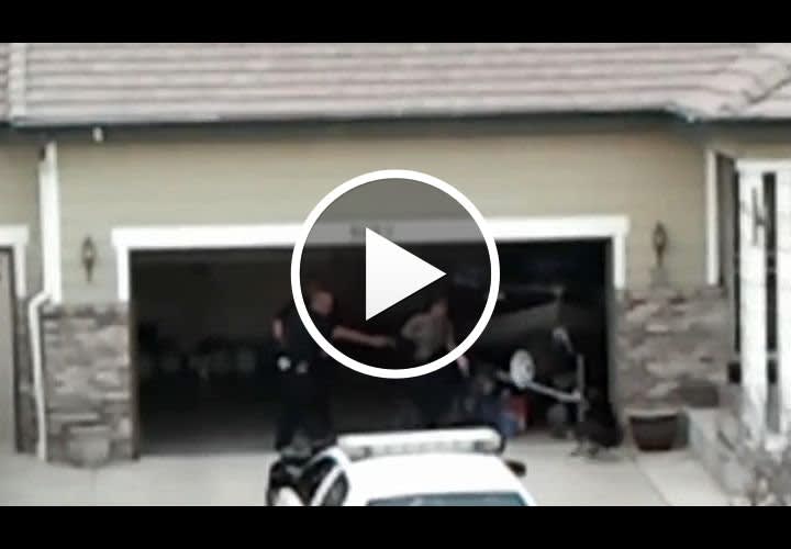 Video: Neighbors Question Deadly Force on Pit Bull