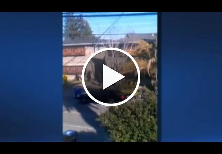 Video: Calif. Cop Killer Wore Body Armor