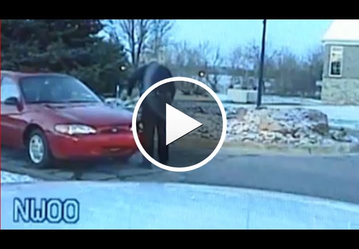 Video: Struck Mich. Cop Pursues Suspect