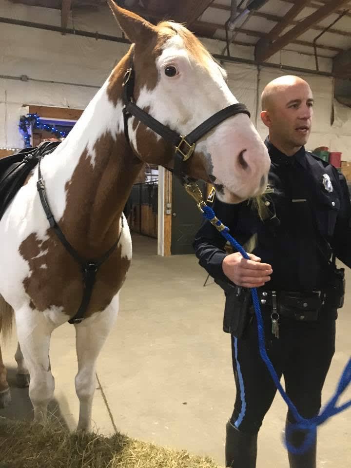 Husband of Slain Nebraska Officer Donates Horse to Department's Mounted Unit