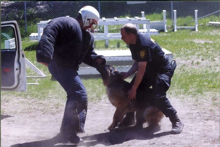 Which Vehicles Should I Replace with EVs?