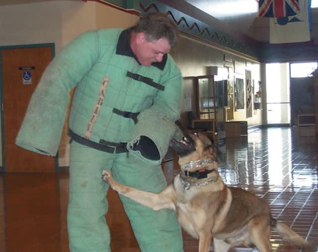 How Connecting with Fleet Peers Can Help Your Operation Thrive