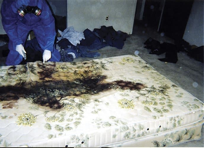 Picking Up the Pieces