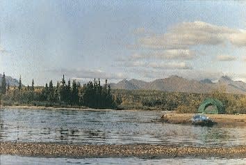 Survive Your Vacation