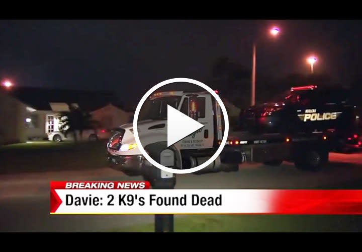 Video: 2 K-9s Die in Vehicle at Florida Officer's Home