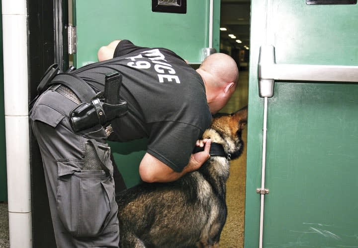 The Independent Source Doctrine