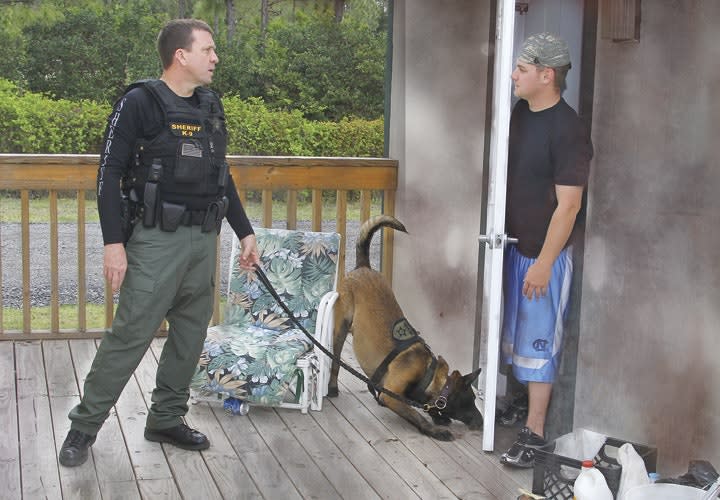 Dogs, Drugs, and the Fourth Amendment