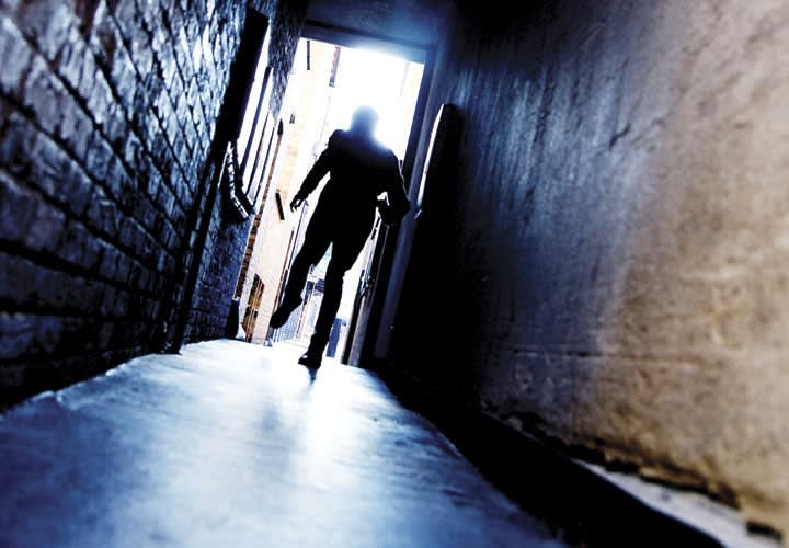 Flight and the Fourth Amendment