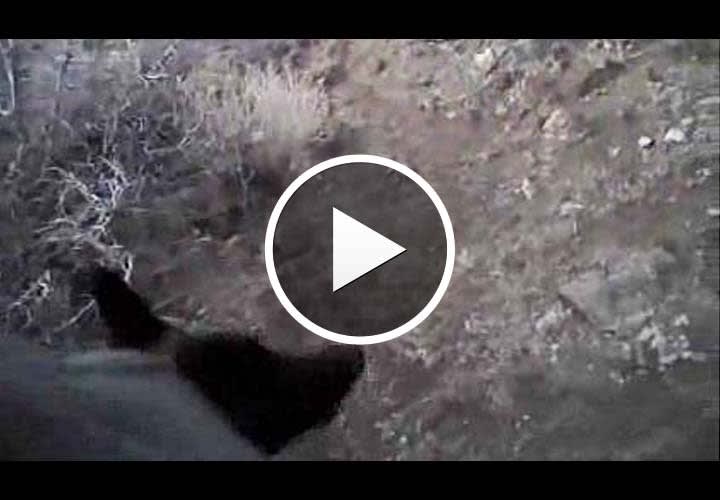 Videos Show Albuquerque PD Efforts to Negotiate in Deadly Camper Encounter