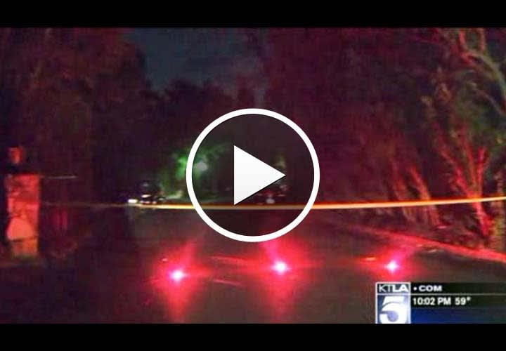 Video: LAPD Shoots, Kills Shotgun-Wielding Senior