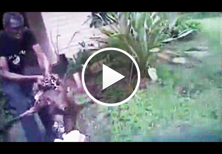 Video: Florida Officer TASERs Dog Attacking Man