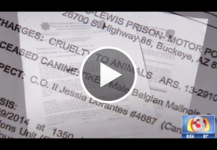 Video: Arizona CO Could Be Charged in K-9's "Hot Car" Death