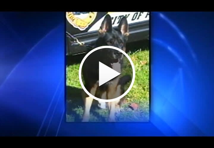 Video: Up To 44 Years for Man in Fatal Pittsburgh Police Dog Stabbing