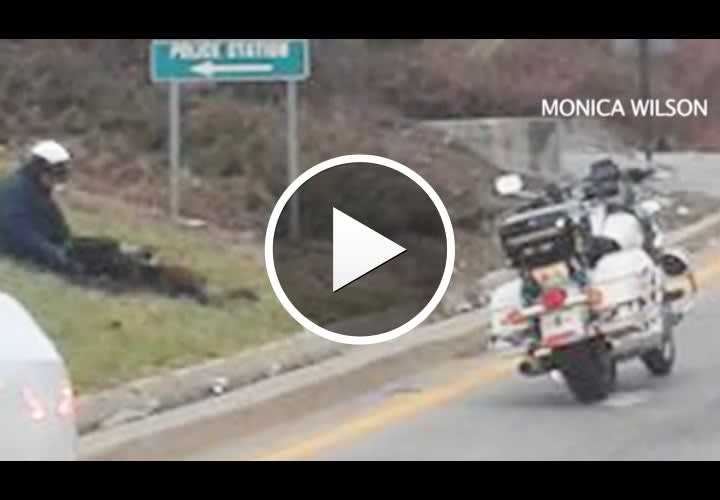 Video: Kansas City Officer Rescues Lost Dogs