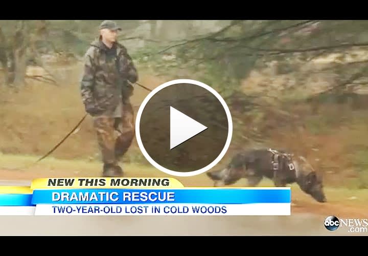 Video: Lost Michigan Toddler Saved by Trooper, K-9 After 22 Hours in Woods