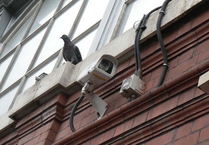 Municipal Surveillance Lessons For LE
