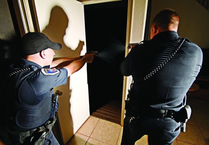 Searching for Hidden Suspects
