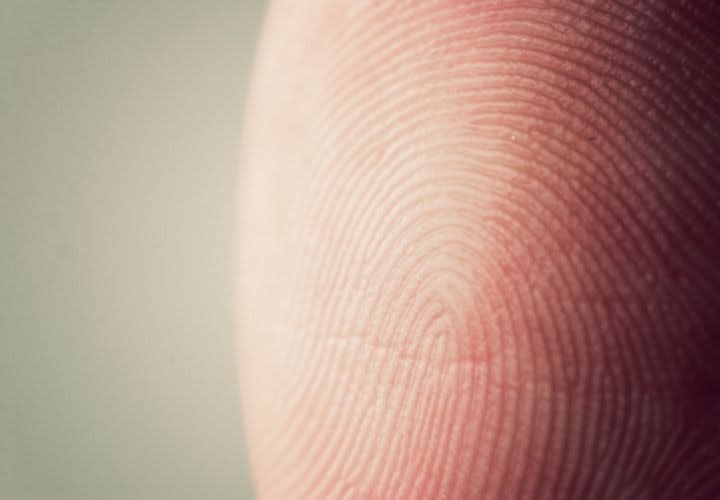 12 Michigan Departments Will Test Portable Fingerprint Scanners