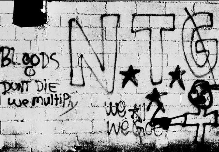 America Needs a Surge Against Gangs