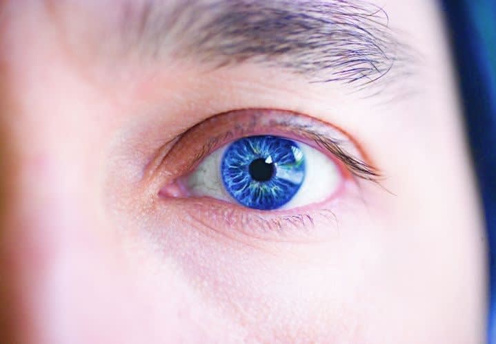 Iris Scans Arrive at Texas Border Checkpoint