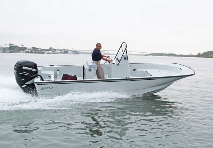 21-Foot Guardian Boat